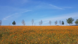 법성포 하면 굴비? 그 이름에 이런 뜻이 있습니다