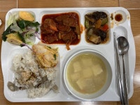 도시락 8개월 차 대학원생, 학식 먹다가 감동한 사연