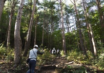 동해에 이런 곳이... 중국 장자제가 안 부럽네