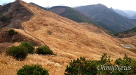 화왕산 18.5ha 억새 물결, 만추 즐기기에 충분