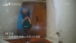 보호 외국인은 반려동물보다 못한 존재인가?