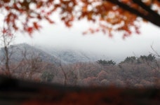 [함양] 남덕유산, 단풍 사이로 첫눈 가을-겨울 공존