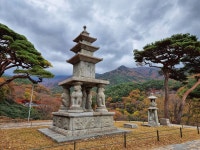 [사진] 화엄사에서 마무리 되는 구례의 단풍