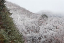 [함양] 백운산, 첫눈 내려 하얀 풍경 연출