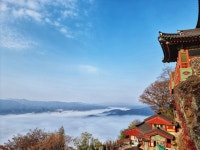 단풍 보려고 구례 찾은 관광객 앞에 펼쳐진 뜻밖의 횡재