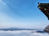 단풍 보려고 구례 찾은 관광객 앞에 펼쳐진 뜻밖의 횡재
