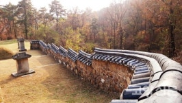 최영 장군 묘에 600살 은행나무까지... 지금 걷기 딱 좋은 길