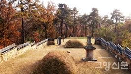 최영 장군 묘에 600살 은행나무까지... 지금 걷기 딱 좋은 길