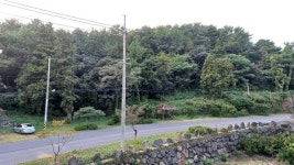 이게 무슨 제주 오름...? 안으로 들어가면 놀랄 걸요