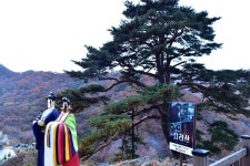 드라마 지리산 팬이라면 여길 추천합니다