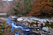 드라마 지리산 팬이라면 여길 추천합니다