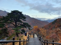 드라마 지리산 팬이라면 여길 추천합니다