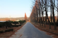 실개천 위 외나무다리, 너무 인기가 많아서