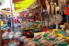 자갈치시장 횟집서 자갈치 찾지 마라... 왜냐면? [해안선 1만리, 두 바퀴 여행]