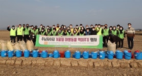 주남저수지 겨울나는 철새 위해 먹이 주기 활동 벌여