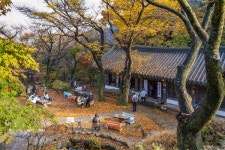 인스타용 카페 지겨운 그대를 위한 강화도 전통찻집