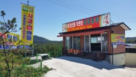 삼대째 사과 농업, 경험치에 젊음을 더하다