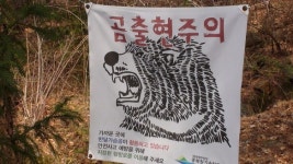 반달가슴곰 KM-53은 왜 고속도로에서 사고를 당했나 [파리로 가는 길]