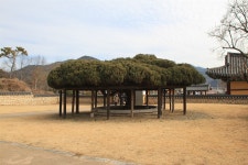 밀양의 3대 신비로 신성시되는 곳, 바로 여기입니다