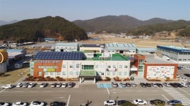 [경남 고성] 안락사 기다리던 유기견 20마리 모두 입양