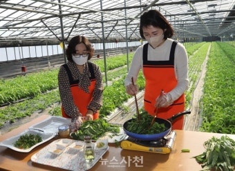 사천 찾은 김혜경 여사, 아열대 채소 수확 봉사