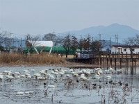 코로나 걱정없이 나들이, 경북 지산샛강으로 오세요
