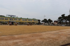 포항의 한적한 도로... 여기서 벌어졌던 비극