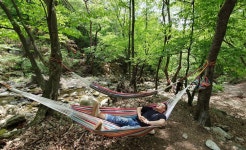 양평군, 지친 심신 충전 위한 헬스투어 체험프로그램 구축