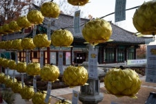 개화산에서 가양동까지, 겸재의 자취를 따르는 길 [단칼에 끝내는 서울 산책기]