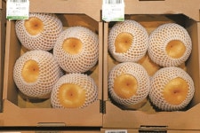 딸기는 친환경인데, 왜 쓰레기를 입혀놨을까 [월간 옥이네]