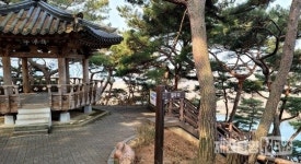 충주 중원문화길에서 봄을 느끼다