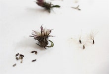 텃밭 만들고 생긴 씨앗 욕심... 전 이렇게 해결합니다 [자연과 가까운 삶]