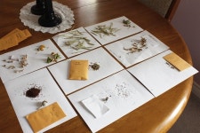 텃밭 만들고 생긴 씨앗 욕심... 전 이렇게 해결합니다 [자연과 가까운 삶]