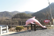 바다도 아닌데...? 금구천 돌고래 가족 기억하나요 [월간 옥이네]
