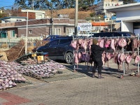 국내 유일의 한옥 등대, 가족 여행지로 딱이네