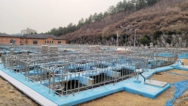 주말 내내 흙탕물 쏟아진 경기 광주시... 노후 시설이 문제였다