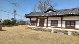 400~500년이 된 은행나무가 지키는 정자