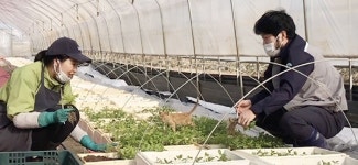 찾아주지 않는 농산물은 그냥 버려져요
