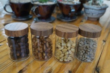 이천에 국산 커피 농장이 있다고?