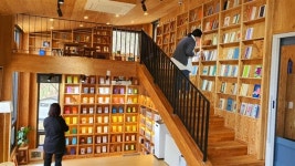 전주 시 전문 도서관 학산숲속도서관에 가다