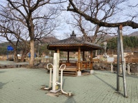 벚꽃 구경 지각생들이 즐겨 찾는 곳, 여기입니다