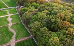 [함양] 바라만 봐도 기분 좋은 신록의 상림공원