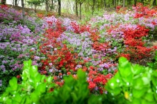 구로구 수궁동을 휘휘 둘러... 계남공원 구경해볼까   [단칼에 끝내는 서울 산책기]