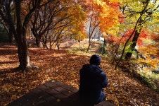 구로구 수궁동을 휘휘 둘러... 계남공원 구경해볼까   [단칼에 끝내는 서울 산책기]