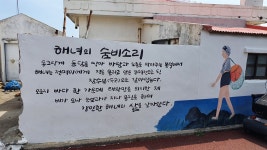 청보리와 유채꽃이 춤추는 초록의 바다, 가파도