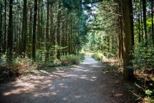 나의 무심함을 반성하게 한, 사려니 숲길의 배려