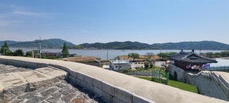 오도 가도 못 한 소 한 마리... 평화의 소가 된 사연