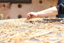 자연이 만든 고유의 누룩으로 술을 빚다