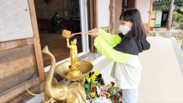 부처님오신날, 완도 신흥사서 봉축법요식