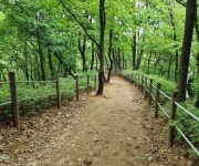 [사춘기와갱년기] 중간고사 끝난 중2 아들, 이런 일은 처음입니다